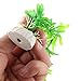 Jardin Aquarium Fish Tank Grass Plants Ornament Décor, 10-Piece, Green
