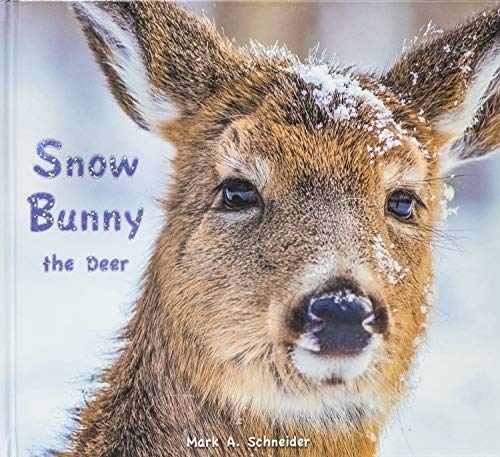 Snow Bunny the Deer