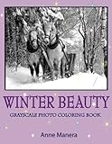 Winter Beauty Grayscale Photo Coloring Book by Anne Manera