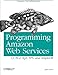 Programming Amazon Web Services: S3, EC2, SQS, FPS, and SimpleDB