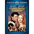 The Black Shield of Falworth