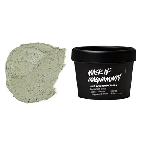 3 Best LUSH Face Masks 2021 Body & Face Lab
