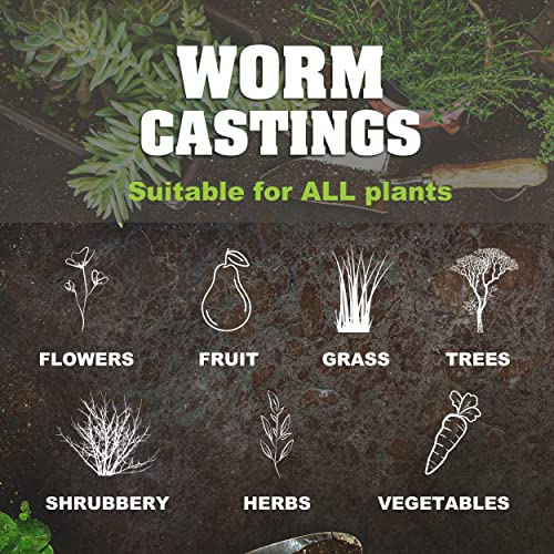 20 oz 100 Organic Worm Castings Natural Superfood for Plant Growth