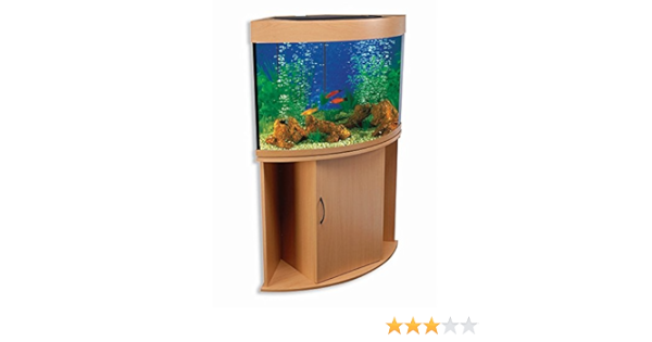 small corner fish tank