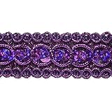 Expo International Trish Sequin Metallic Braid Trim Embellishment, 20-Yard, Purple