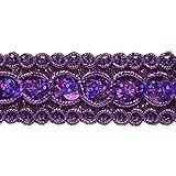 Expo International Trish Sequin Metallic Braid Trim Embellishment, 20-Yard, Purple