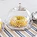 CYS EXCEL Glass Bell Dome Jar with Tray, Dessert Display Candy Buffet Showcase, Plant Terrarium Cover, Pack of 1