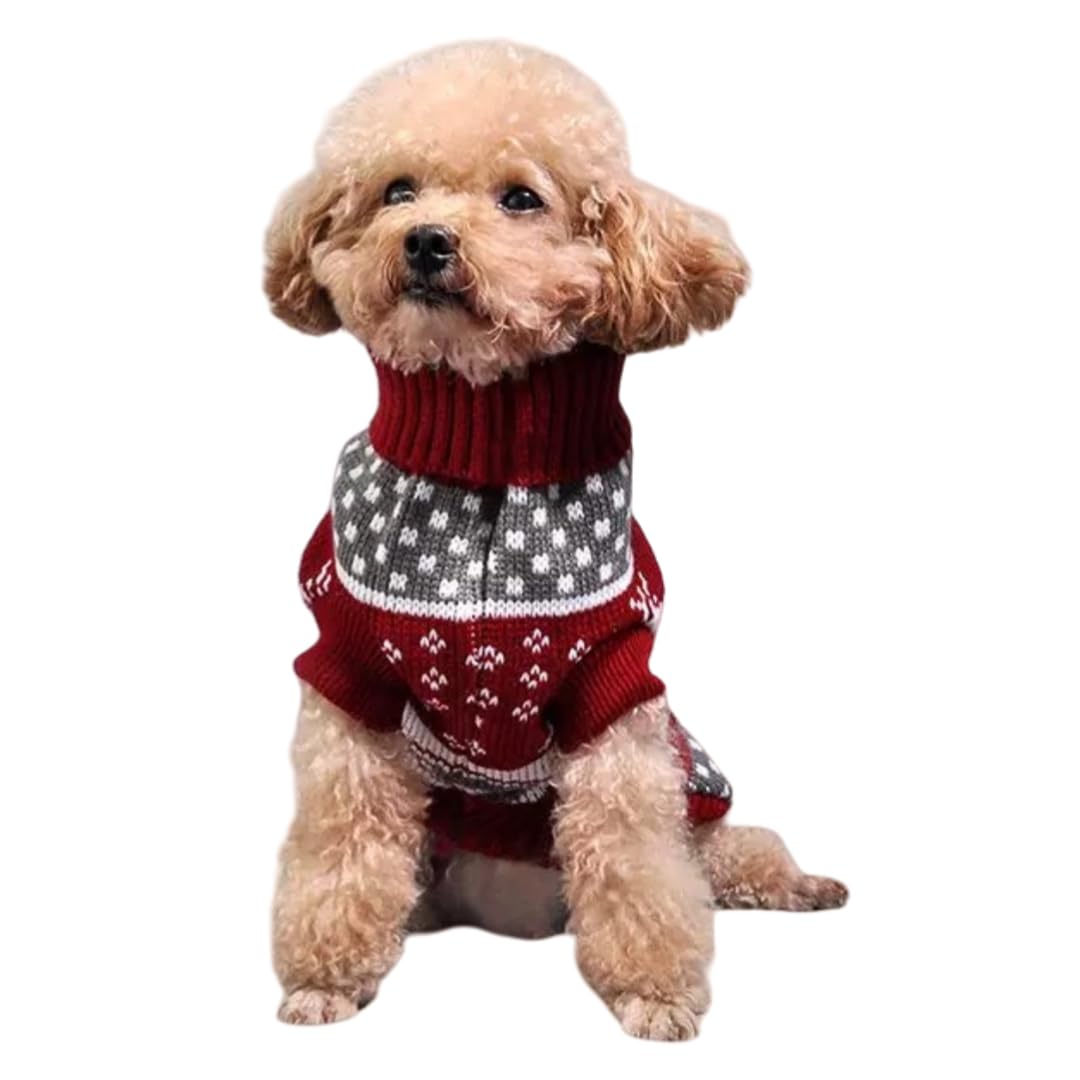 Small Dog & Cat Jumper, Knitted Sweater Pullover for Toy Breeds – Chihuahua, Teacup Poodle, Yorkie, Kitten, Soft Turtleneck, Autumn & Winter Pet Apparel, XL