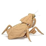Realistic Dry Leaf Mantis Plush Toy, Green 7.48inch