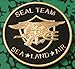 US Navy Seal Team Sea, Land, Air Colorized Challenge Art Coin