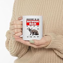 Lovesout Funny Black Devon Rex Cat Anatomy Chart