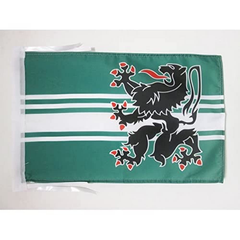 AZ FLAG - Province of East Flanders Flag - 18'' x 12'' - 100% Polyester Oost-Vlaanderen Small Banner with Two Cords - Fade Resistant - Vivid Colors - 18x12 in - 45x30 Cm