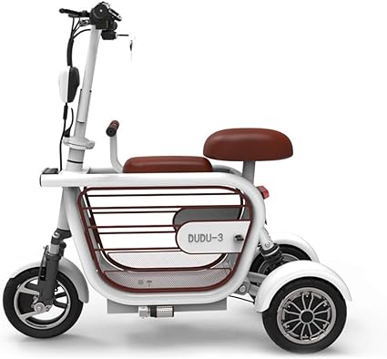 3 wheeled electric bike