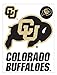 me & my BIG ideas laptopSTICKS Removable Laptop Stickers, Colorado Buffaloes