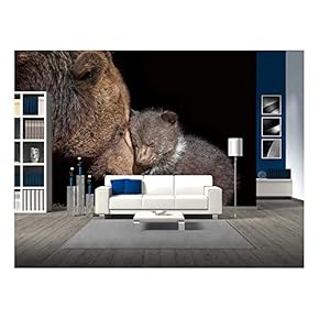 Brown Bear - Ursus Arctos - Removable Wall Mural | Self-Adhesive Large Wallpaper - 66x96 inches