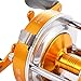 Isafish Baitcasting Reels Conventional Inshore and Offshore Saltwater and Freshwater Fishing Reels Baitcaster Golden Color