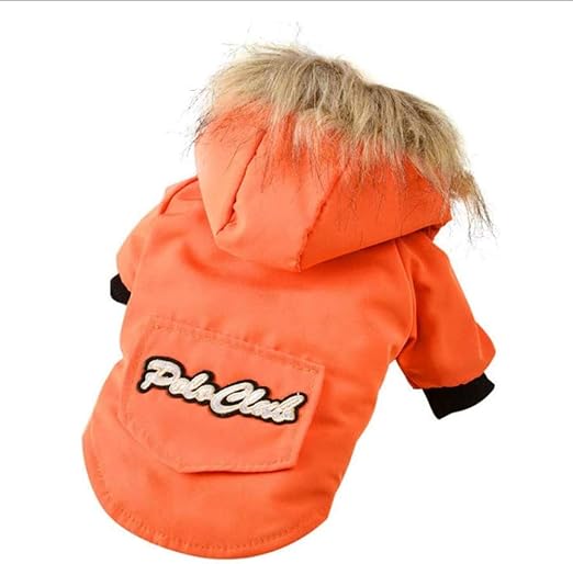 the dog coat company