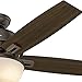 Hunter Donegan Indoor Ceiling Fan with LED Light and Pull Chain Control, 52