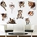 Amaonm 9 PCS Removable 3D Cute Animals Wall Decals Lovely Cat Dog Hamster Through The Wall Fun Kids Room Stickers Nursery Room Wall Art Decor Bathroom Decal Babys Stickers Classroom Decoration Decal