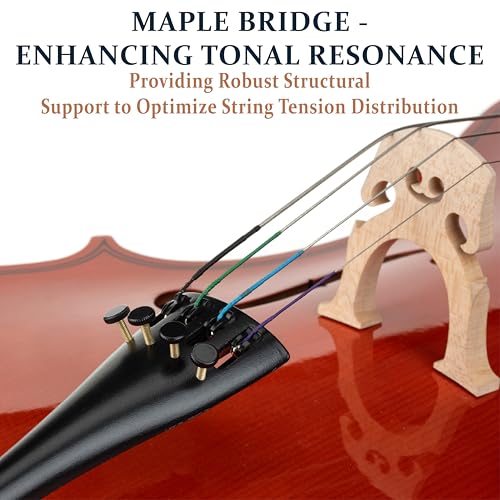 Cecilio 4/4 Full Size Cello, Beginner Cello 4/4, Acoustic Cello Set with Portable Bag, Bow, Rosin, Stand, String Musical Instruments for School Orchestras, Performances