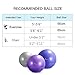 Sportneer Excercise Ball Anti-burst Dual-sided Balance Yoga Ball with Pump, Massage Ball, Workout Guide and Carrying Bag, Silver, 65cm