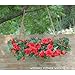 PARTY JOY 2Pcs Flower Garland Fake Rose Vine Artificial Flowers Hanging Rose Ivy Hanging Baskets Wedding Arch Garden Background Decor
