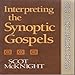 Interpreting the Synoptic Gospels (Guides to New Testament Exegesis)