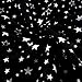 Kaufman Cozy Cotton Flannel Stars Black, Fabric by the Yard