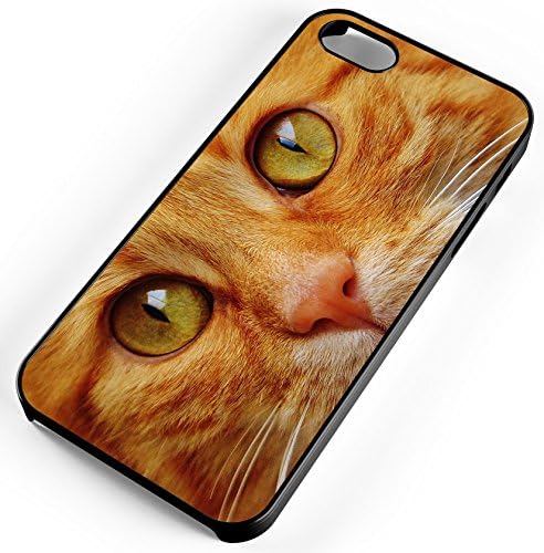 iPhone Case Fits Apple iPhone 8 PLUS 8+ Orange Tabby Pussycat Whiskers Feline Black Plastic