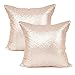 YOUR SMILE Pack of 2, New Luxury Series Rose Gold Decorative Glitzy Sequin & Comfy Satin Solid Throw Pillow Cover Cushion Case 18