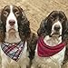 Segarty Dog Bandanas, 4 Pack 26
