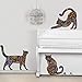 Cat Wall Sticker Trio - Set of 3 Stickers - Repositionable Cat Wall Decals in Flower Pattern (as Shown, S)