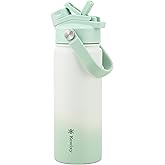 KEWIXY 18 oz Insulated Water Bottle with Straw, 2-in-1 Lid, Straw & Spout, Leak Proof, Cup Holder Fit, Stainless Steel with Handle, Reusable, Metal, for Travel, Gym and School (Icy Mint)