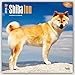 Shiba Inu 2016 Calendar