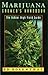 Marijuana Grower's Handbook: The Indoor High Yield Guide