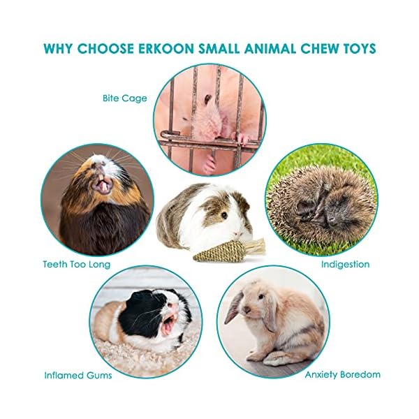 ERKOON Guinea Pig Treat Toys, Small Animal Chew Boredom Breaker Natural Rabbit Hamster Teeth Care Molar Grass Balls…