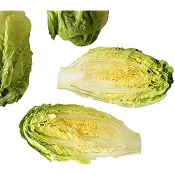Amazon.com : Homegrown Lettuce Seeds, 210, Little Gem Lettuce : Garden