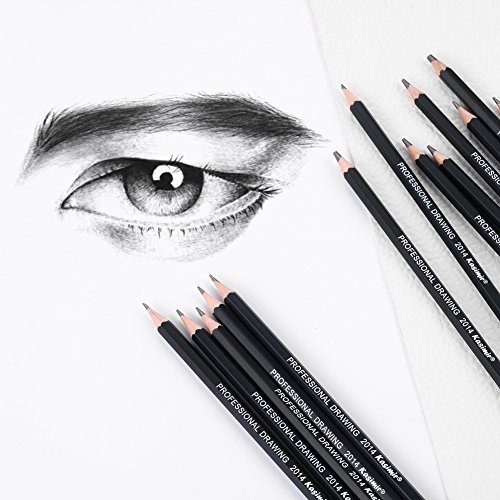 14Pcs/Set Art Sketch Pencils - 12B,10B,8B,7B,6B,5B,4B,3B,2B,B,HB,2H,4H,6H - Graphite Pencil for Adults & Kid Artists Drawing Beginners - 2H Pencil - Thumbnail 4