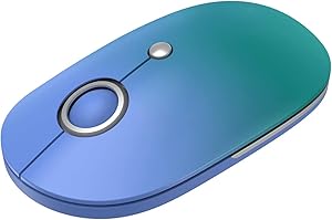 Wireless Mouse for Laptop, Silent Mouse with USB Nano Receiver, Portable Computer Mice 5 Adjustable DPI for Chromebook, Notebook, PC, Laptop, Computer, MacBook – Auroral Blue