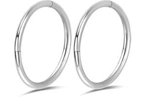 PIERCINGBOY 2Pcs Titanium Nose Rings 20G 18G 16G Nose Rings Hoops Septum Clicker Hinged Segment Ring Cartilage Helix Tragus Conch Daith Rook Nostril Hoop Piercing Earring, Diameter 5mm to 12mm Silver-Gold-Rose Gold-Black