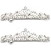Luxxii - Clear Fancy Rhinestone Crystal Hair Barrette Clip Hair Pin (Pack 2, Silver Tone_C)