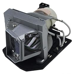 SunnyPro BL-FU240A Replacement Projector Lamp for