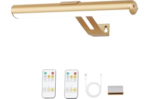 OVICISK Led Picture Light, 13 Inch Picture Lights for Wall, Wireless Dartboard Light with 2 Remote, 300LM Picture Light for Paintings with 2 Magnetic Light Base for Art Work-Gold