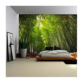 Tall Forest of Bamboo Tree