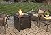 Endless Summer GAD15255SP Gas Outdoor Fire Table LP, Oil Rubbed Bronze
