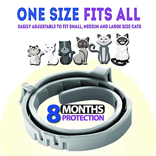KEXMY Cat Tick and Flea Collar - Cat Flea Treatment - 8 Months Flea Control and Protection for Cats - Adjustable & Waterproof Cat Collar - 100% Natural Essential Oils That Kill and Repel Fleas - Thumbnail 4