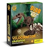 Geoworld Dino Excavation Kit - Velociraptor Skeleton