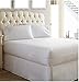 Sleep Defense Premium 100% Waterproof/Bed Bug Proof Noiseless Mattress Encasement, Fully Protect Your Mattress from Bed Bugs, Fluids, Mites and Allergens, Queen Standard