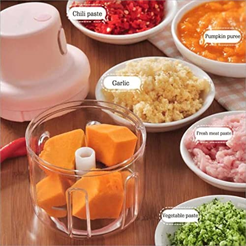 GWOKWAI Electric Food Chopper，garlic Onion Chopper Food Processors