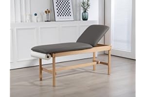 Carenovo 27.5" Adjustable backrest Medical Treatment exam Table for Spa Clinic Hospital (Gray)